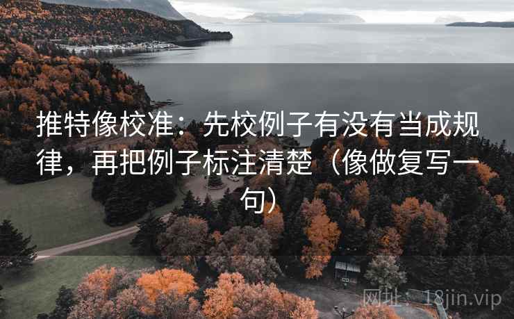 推特像校准：先校例子有没有当成规律，再把例子标注清楚（像做复写一句）